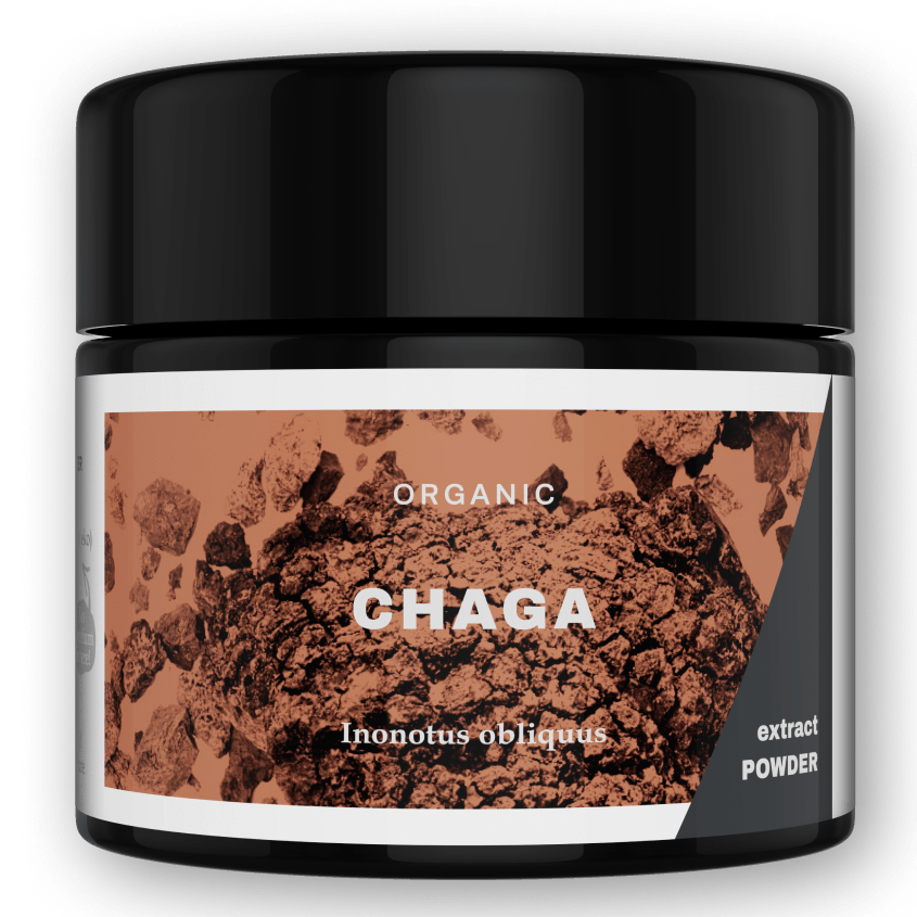 KÄÄPÄ Mushrooms Chaga - Chaga-uutejauhe 30 g