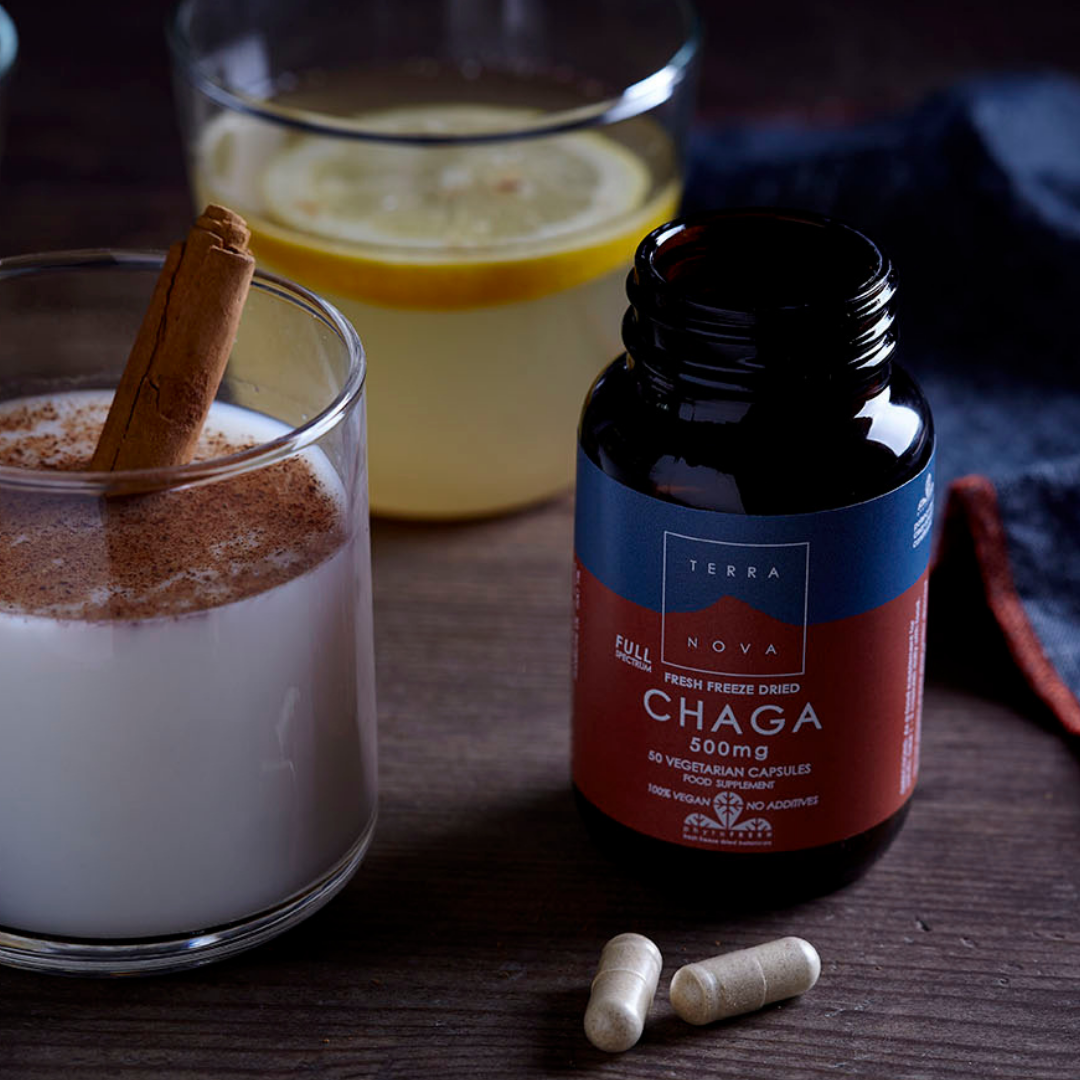 Terranova Chaga Full Spectrum 500 mg - Pakurikääpä 50 kaps.