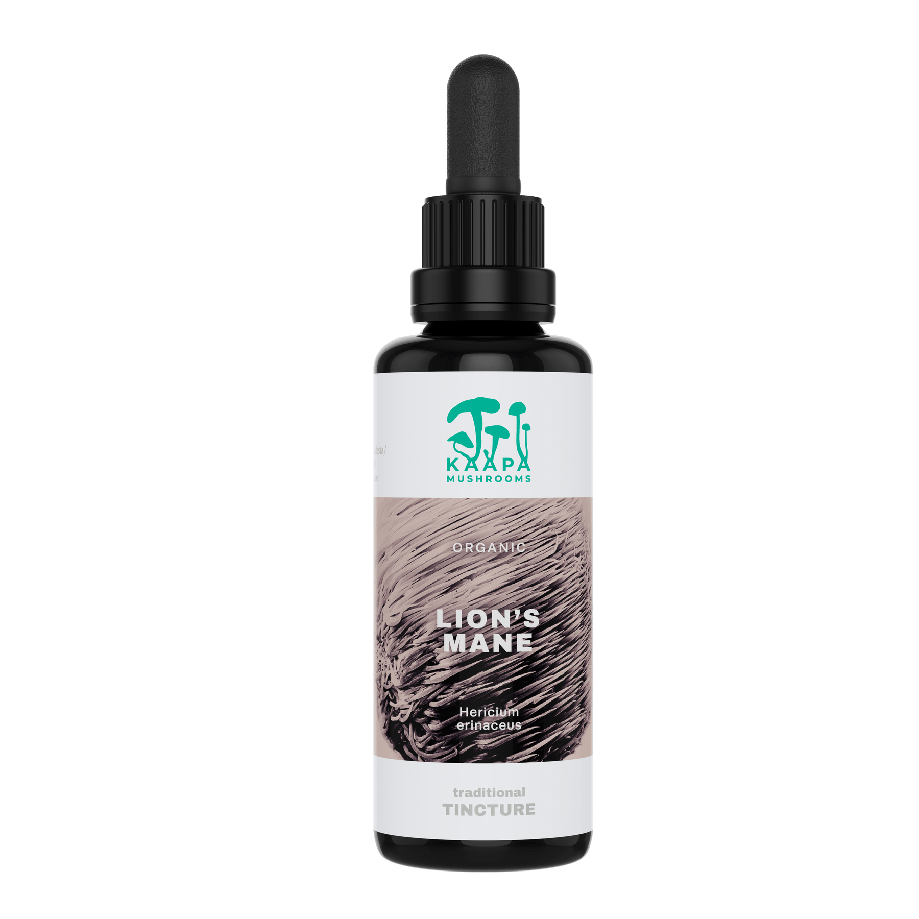 KÄÄPÄ Mushrooms Lion's Mane Tinktuura 30 ml