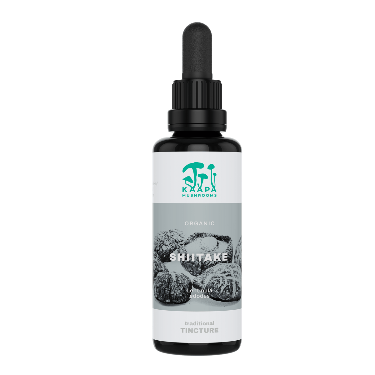 KÄÄPÄ Mushrooms Shiitake Tinktuura 30 ml